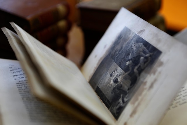 La Colección Cervantina de la Biblioteca de la UNLP, declarada patrimonio documental por la UNESCO La Colección Cervantina de la Biblioteca de la UNLP, declarada patrimonio documental por la UNESCO