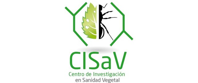 Cisav 8 Cisav 8