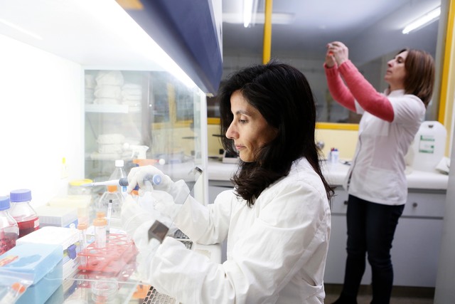 Científicos de la UNLP investigan qué hay detrás de los aditivos alimenticios Científicos de la UNLP investigan qué hay detrás de los aditivos alimenticios