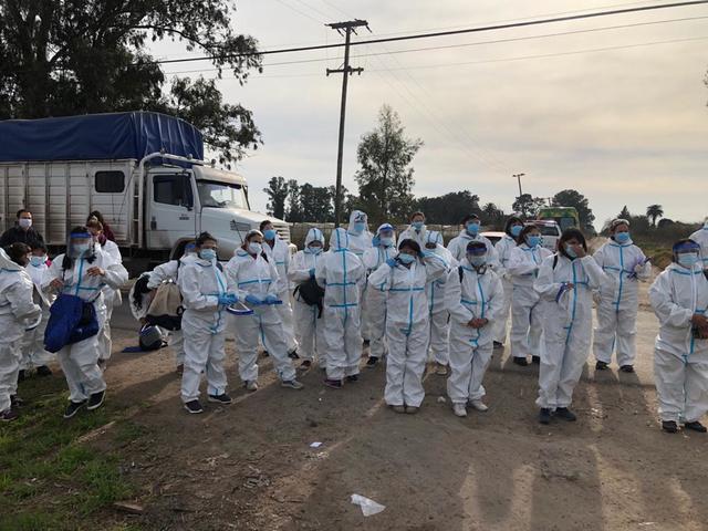 Fundamental despliegue de la UNLP en operativos sanitarios en la región Fundamental despliegue de la UNLP en operativos sanitarios en la región