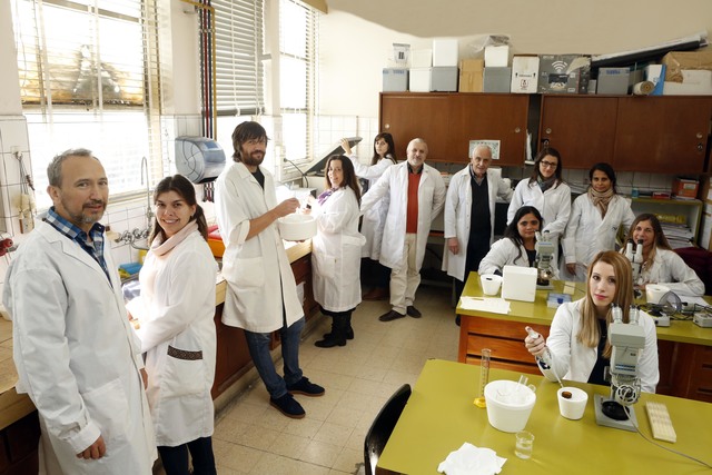 Prueban con éxito en ensayos de laboratorio una nueva droga para combatir la diabetes Prueban con éxito en ensayos de laboratorio una nueva droga para combatir la diabetes
