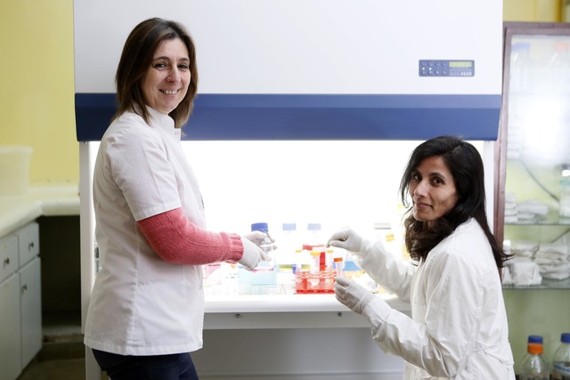 Científicos de la UNLP investigan qué hay detrás de los aditivos alimenticios Científicos de la UNLP investigan qué hay detrás de los aditivos alimenticios