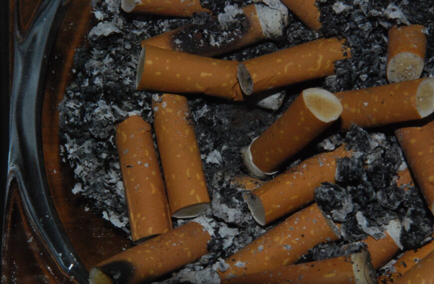 Capacitación “El tabaquismo como problemática sanitaria, ambiental y social”