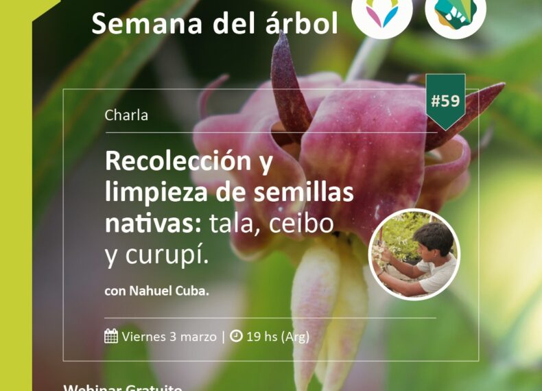 Se lanza un nuevo Ciclo de webinars de Semana del Árbol