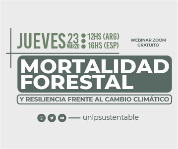 Webinar “Mortalidad forestal y resiliencia frente al cambio climático”