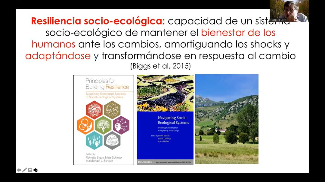 Se Realizó El Webinar “Mortalidad Forestal Y Resiliencia Frente Al ...