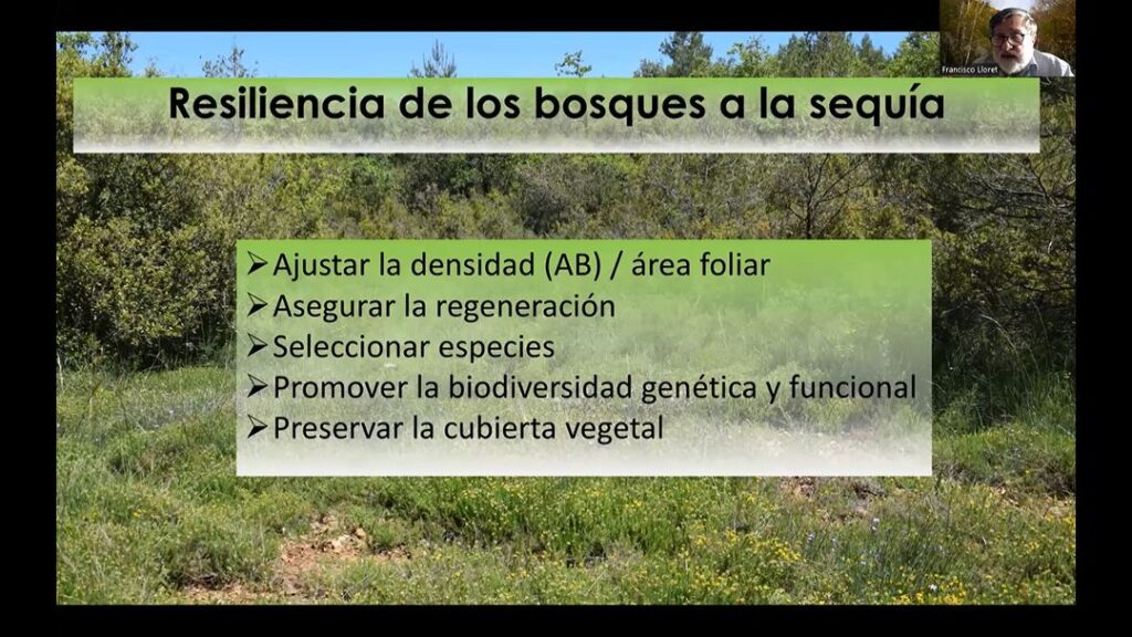 Se Realizó El Webinar “Mortalidad Forestal Y Resiliencia Frente Al ...