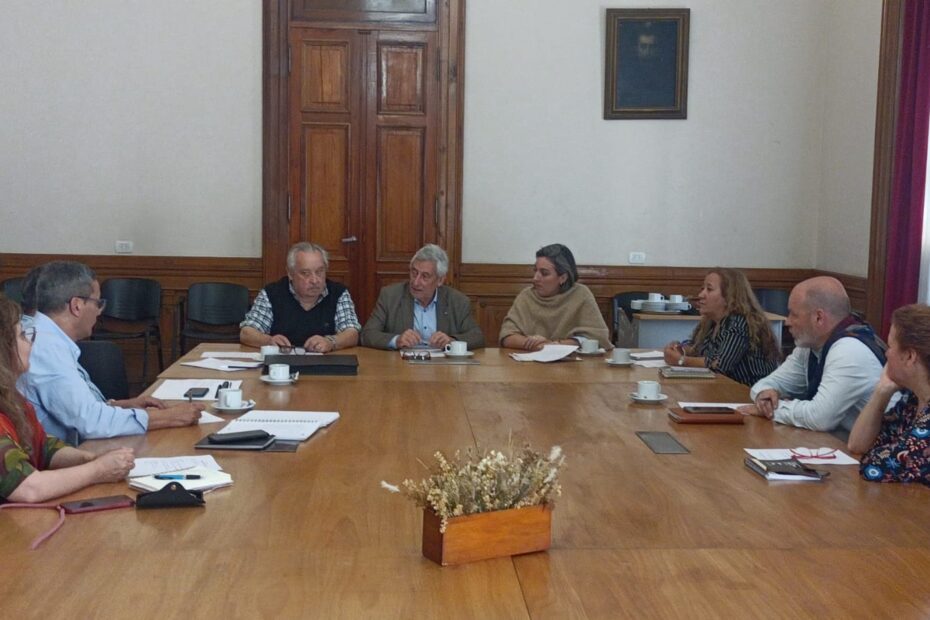 Nueva sesión del Consejo Consultivo Profesional de la UNLP