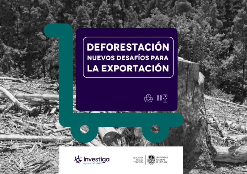 La lucha contra el cambio climático y la deforestación: nuevos desafíos para la exportación