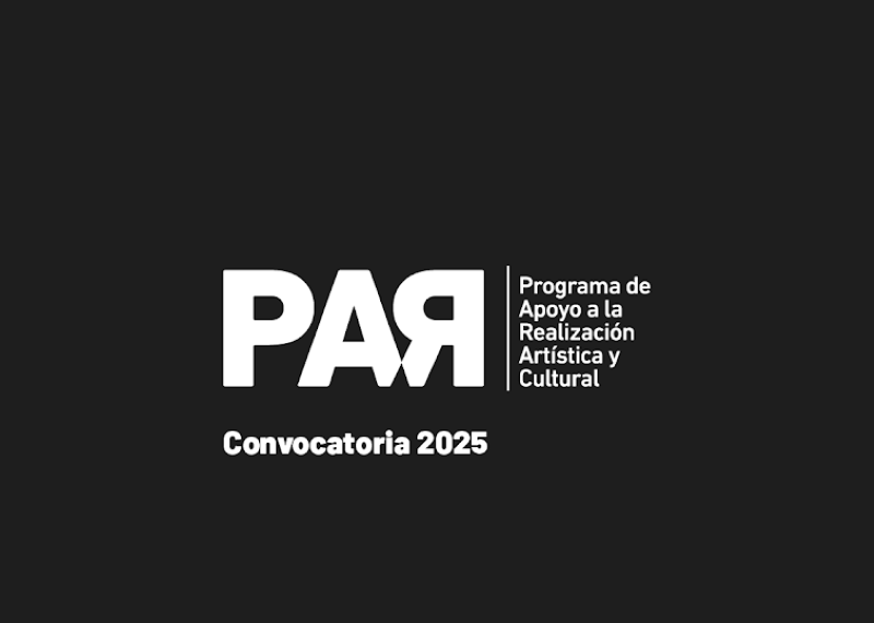 PAR: la UNLP abrió la convocatoria 2025 para colectivos de artistas