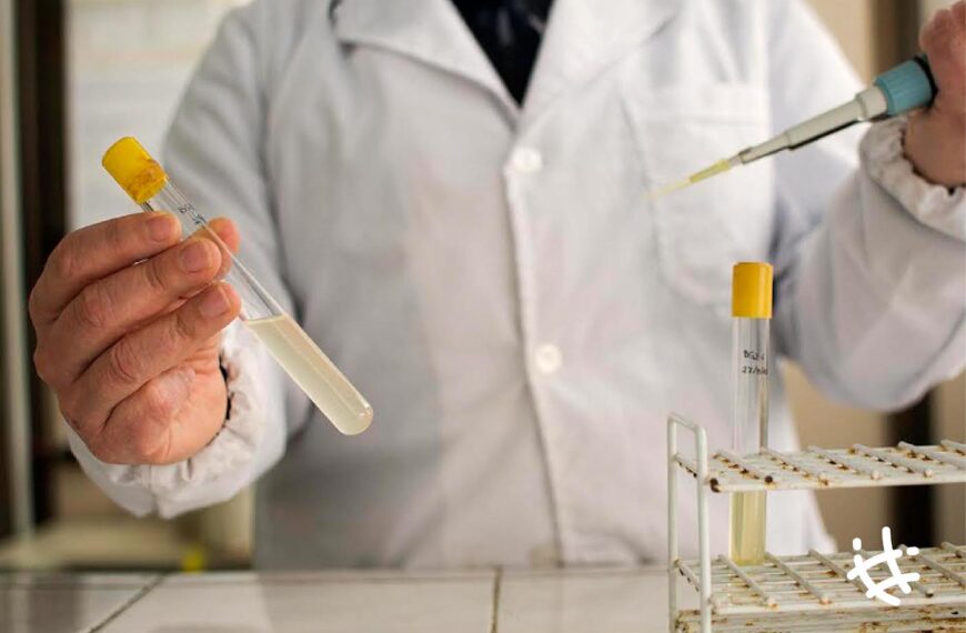 Identifican cepas probióticas para evitar infecciones causadas por una bacteria  