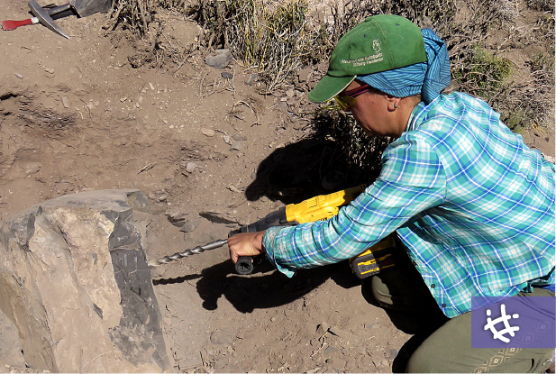 De mares antiguos a energía moderna: la historia oculta de Vaca Muerta