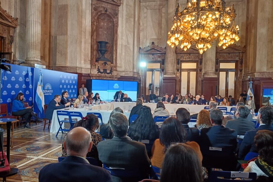 La Mesa de Trabajo sobre Salud Mental de la UNLP presente en el plenario sobre la modificación de la Ley de Salud Mental en el Senado de la Nación