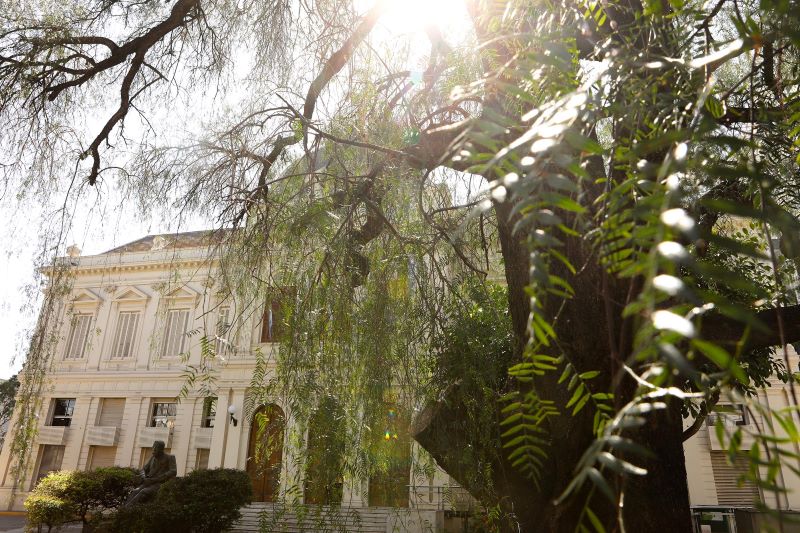 Más sustentable: la UNLP redujo un 12% su huella de carbono
