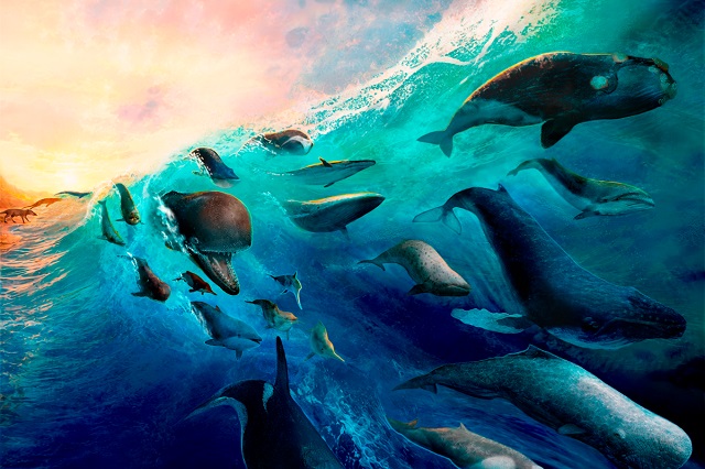 De caminar sobre cuatro patas a reinar en los océanos: la increíble revolución evolutiva de las ballenas