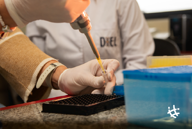 La UNLP, única universidad pública del país con un laboratorio clínico acreditado bajo la norma internacional IRAM-ISO