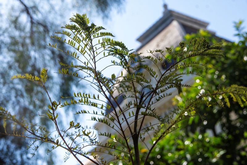 La UNLP escaló 213 posiciones en el ranking mundial de sostenibilidad