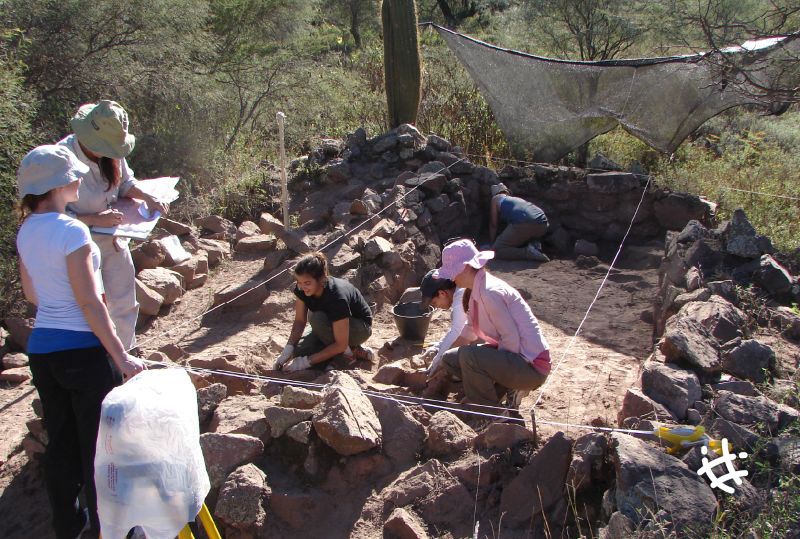 Durante 4 días se podrá ver en vivo la excavación en un asentamiento inca