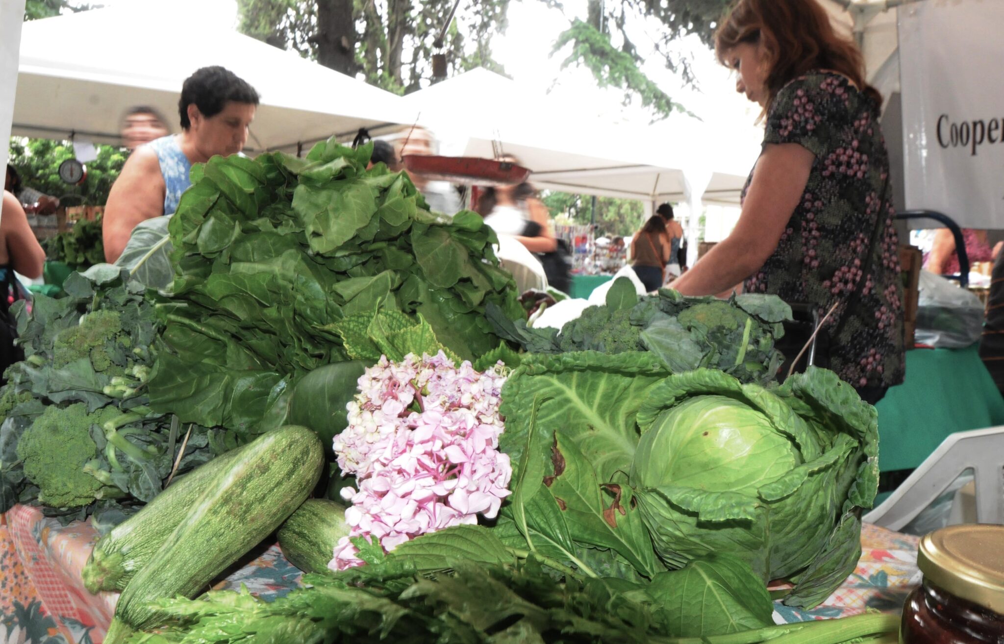 Produccion Local Con conocimiento y producción local, la UNLP se compromete con la ...